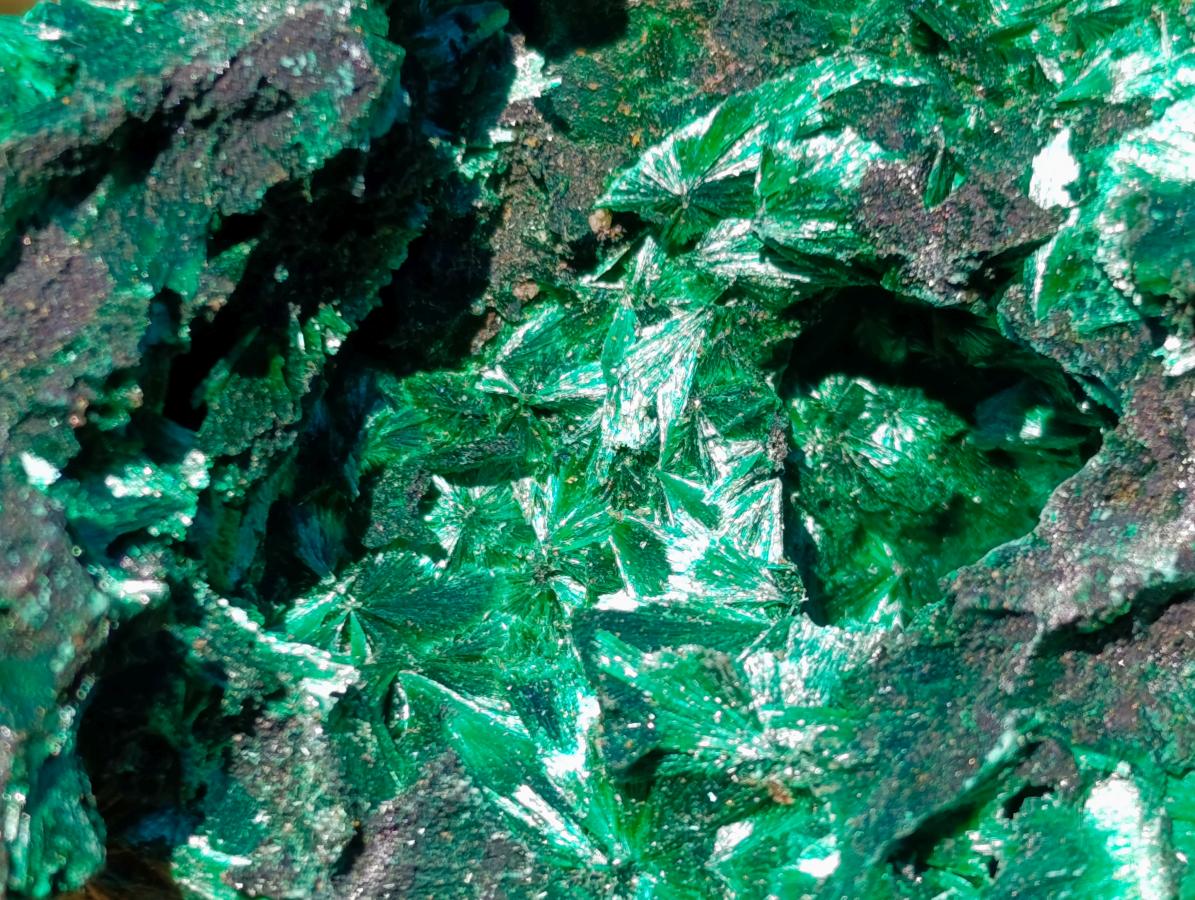 Natural Cabinet Size Silky Malachite Specimen x 1 From Kasompe, Congo