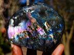 Polished Spectrolite Labradorite Standing Display Piece x 1 From Tulear, Madagascar