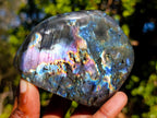 Polished Spectrolite Labradorite Standing Display Piece x 1 From Tulear, Madagascar