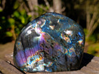 Polished Spectrolite Labradorite Standing Display Piece x 1 From Tulear, Madagascar