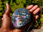 Polished Spectrolite Labradorite Standing Display Piece x 1 From Tulear, Madagascar