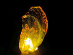 Natural Superb Clear Copal Amber Fossil Specimen x 1 From Nosy Varika Madagascar