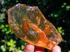 Natural Superb Clear Copal Amber Fossil Specimen x 1 From Nosy Varika Madagascar