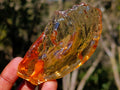 Natural Superb Clear Copal Amber Fossil Specimen x 1 From Nosy Varika Madagascar