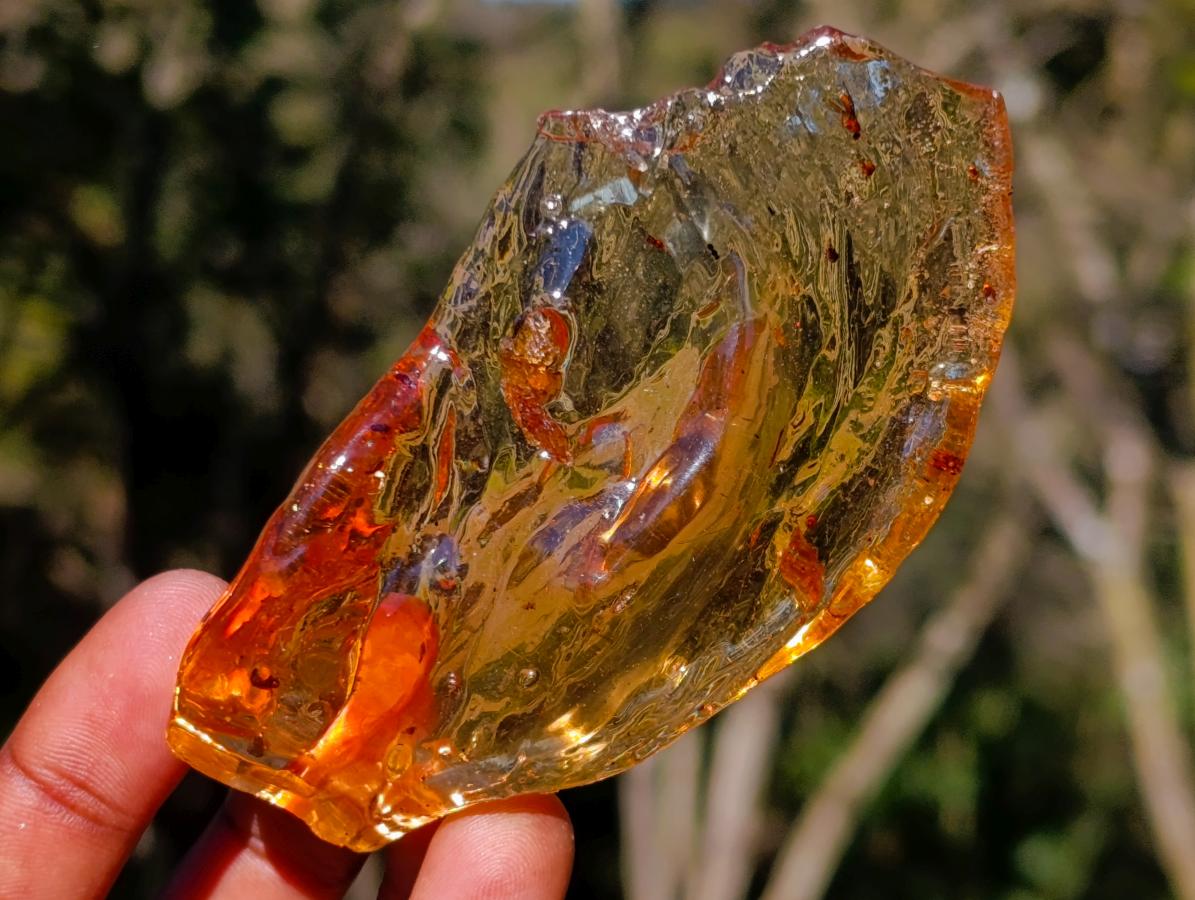 Natural Superb Clear Copal Amber Fossil Specimen x 1 From Nosy Varika Madagascar