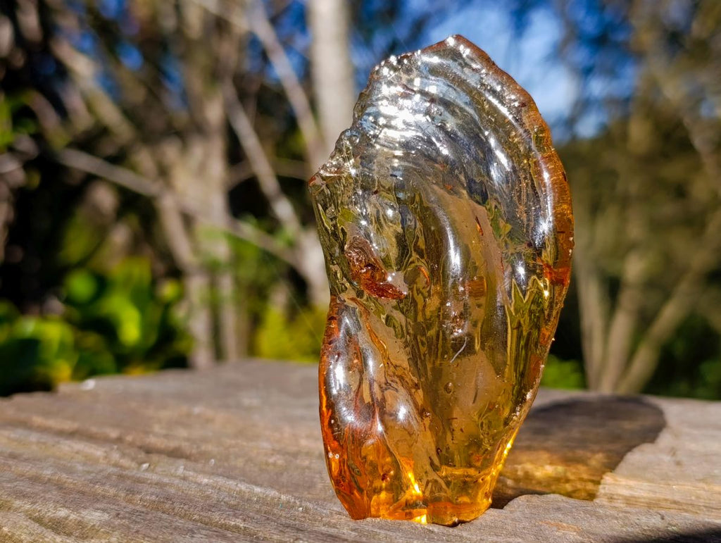 Natural Superb Clear Copal Amber Fossil Specimen x 1 From Nosy Varika Madagascar