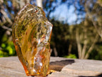Natural Superb Clear Copal Amber Fossil Specimen x 1 From Nosy Varika Madagascar