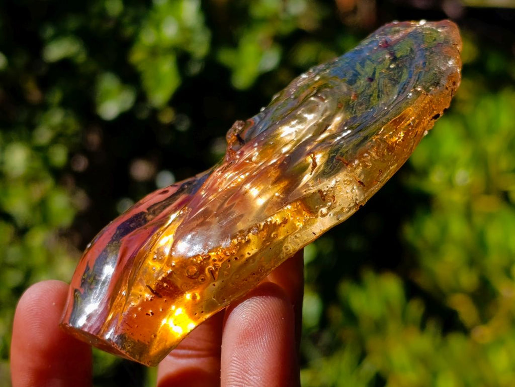 Natural Superb Clear Copal Amber Fossil Specimen x 1 From Nosy Varika Madagascar