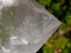 Polished Large Clear Quartz Standing Display Crystal x 1 From Madagascar