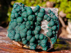 Natural Cabinet Size Ball Malachite Specimen x 1 From Mindingi Mine, Congo