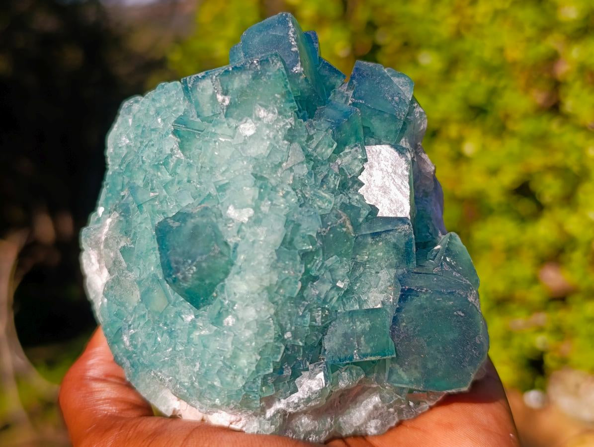 Natural Cabinet Size Cubic Fluorite Crystal Cluster Specimen x 1 From Mandrosonoro Madagascar