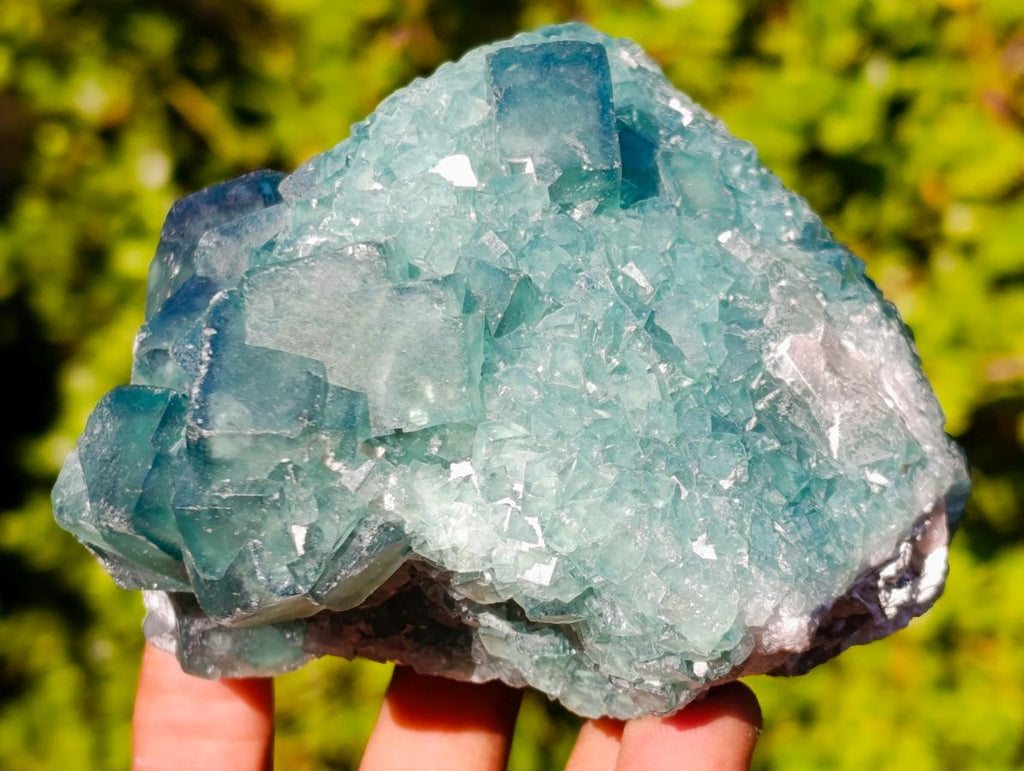Natural Cabinet Size Cubic Fluorite Crystal Cluster Specimen x 1 From Mandrosonoro Madagascar