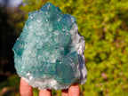 Natural Cabinet Size Cubic Fluorite Crystal Cluster Specimen x 1 From Mandrosonoro Madagascar