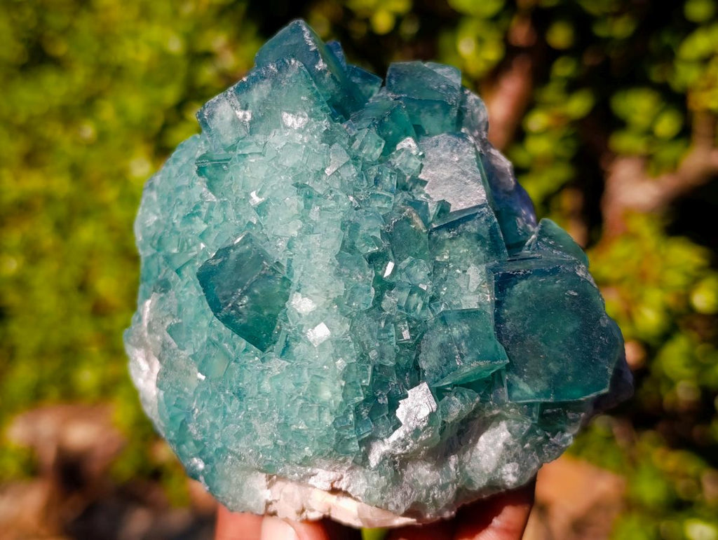 Natural Cabinet Size Cubic Fluorite Crystal Cluster Specimen x 1 From Mandrosonoro Madagascar
