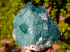 Natural Cabinet Size Cubic Fluorite Crystal Cluster Specimen x 1 From Mandrosonoro Madagascar