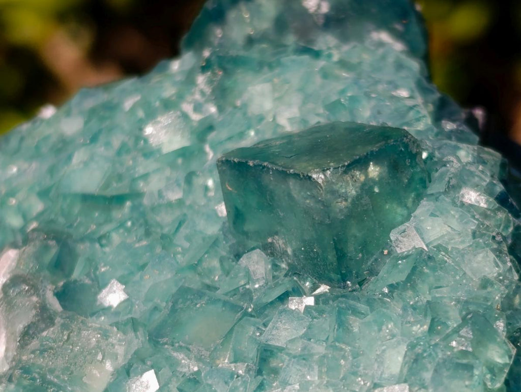 Natural Cabinet Size Cubic Fluorite Crystal Cluster Specimen x 1 From Mandrosonoro Madagascar
