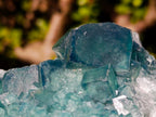 Natural Cabinet Size Cubic Fluorite Crystal Cluster Specimen x 1 From Mandrosonoro Madagascar