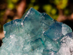 Natural Cabinet Size Cubic Fluorite Crystal Cluster Specimen x 1 From Mandrosonoro Madagascar