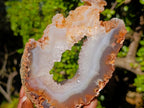 Polished Holy Agate with Crystalline Centre x 1 From Maintirano, Madagascar