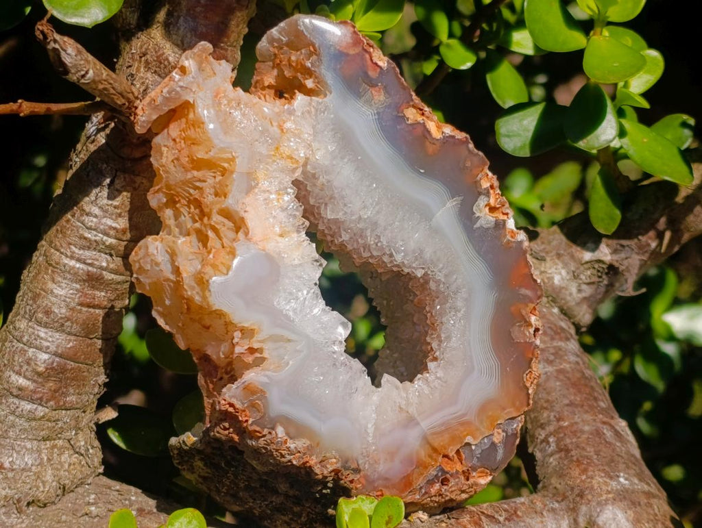 Polished Holy Agate with Crystalline Centre x 1 From Maintirano, Madagascar