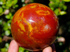Polished Flame Jasper Sphere x 1 From Madagascar
