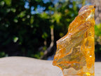 Natural Large Copal Amber Fossil Specimen with Inclusions x 1 From Nosy Varika Madagascar