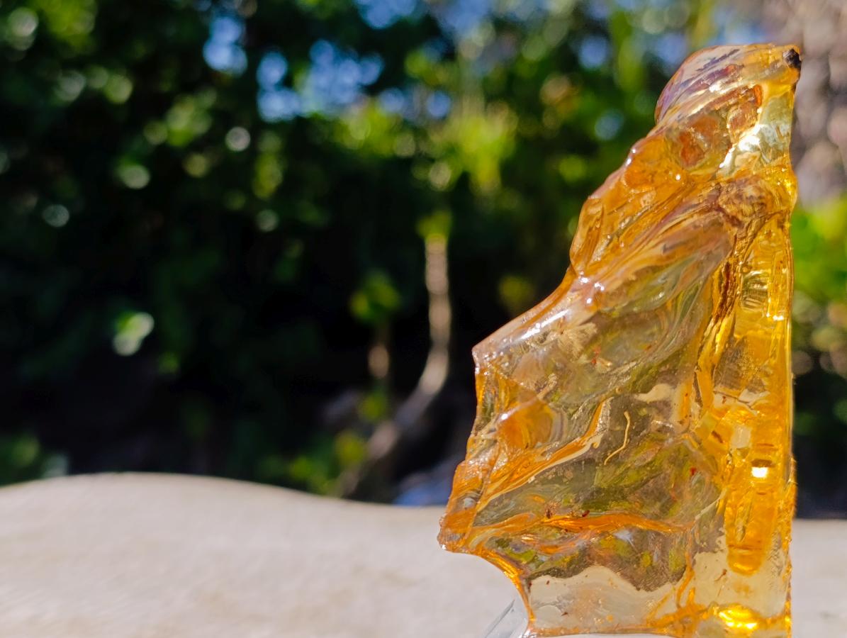 Natural Large Copal Amber Fossil Specimen with Inclusions x 1 From Nosy Varika Madagascar