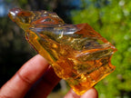Natural Large Copal Amber Fossil Specimen with Inclusions x 1 From Nosy Varika Madagascar