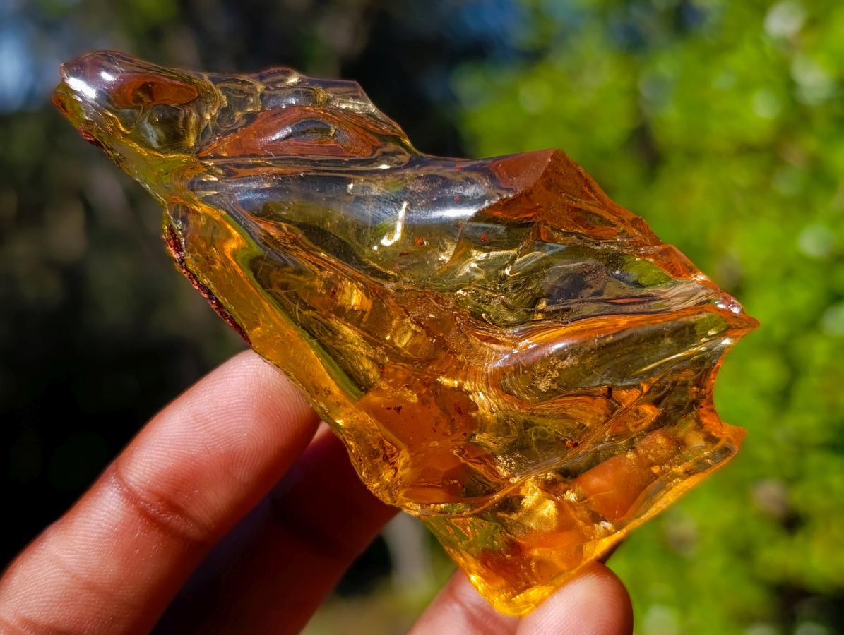 Natural Large Copal Amber Fossil Specimen with Inclusions x 1 From Nosy Varika Madagascar