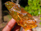 Natural Large Copal Amber Fossil Specimen with Inclusions x 1 From Nosy Varika Madagascar