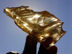 Natural Large Copal Amber Fossil Specimen with Inclusions x 1 From Nosy Varika Madagascar