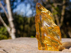 Natural Large Copal Amber Fossil Specimen with Inclusions x 1 From Nosy Varika Madagascar