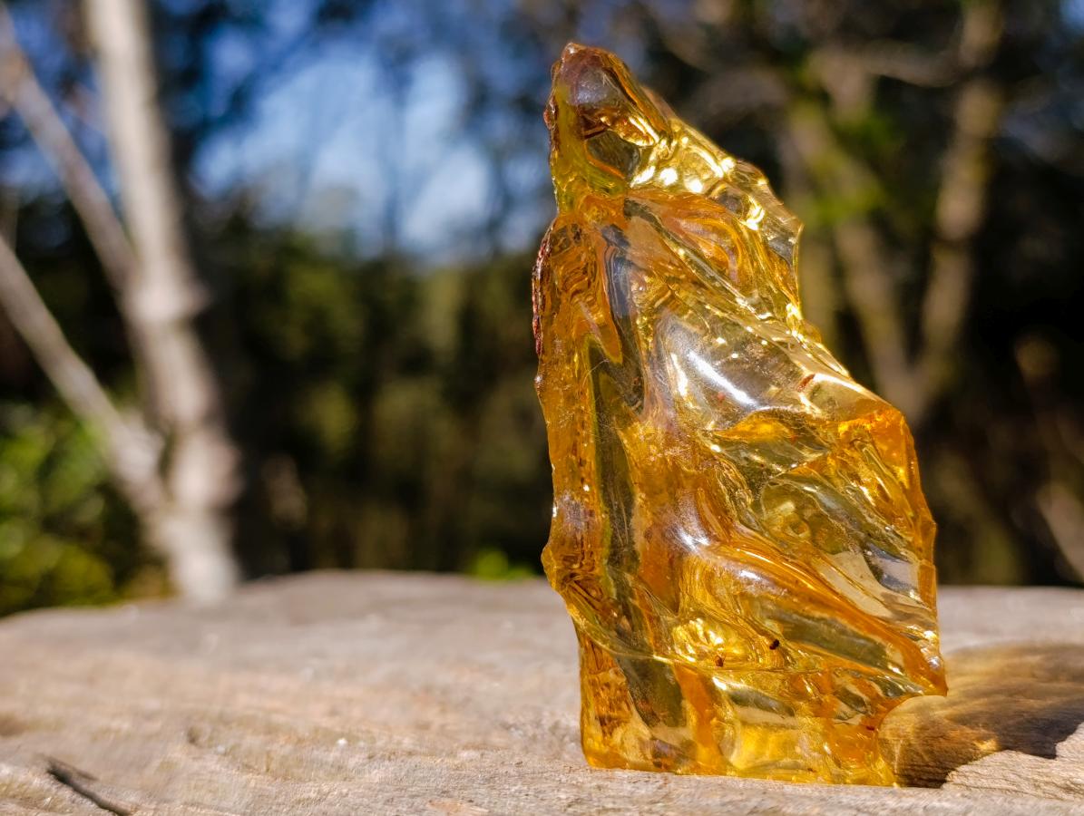 Natural Large Copal Amber Fossil Specimen with Inclusions x 1 From Nosy Varika Madagascar