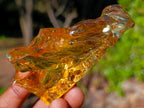 Natural Large Copal Amber Fossil Specimen with Inclusions x 1 From Nosy Varika Madagascar