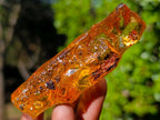 Natural Large Copal Amber Fossil Specimen with Inclusions x 1 From Nosy Varika Madagascar