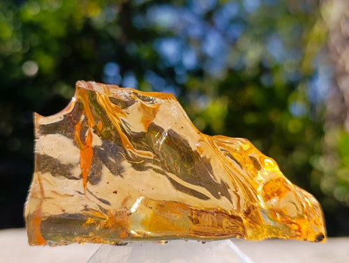 Natural Large Copal Amber Fossil Specimen with Inclusions x 1 From Nosy Varika Madagascar