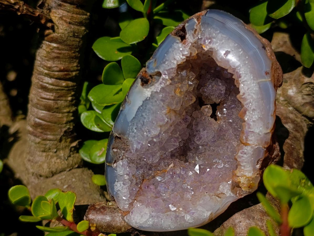 Polished Agate with Crystalline Amethyst Centred Geode x 1 From Maintirano, Madagascar