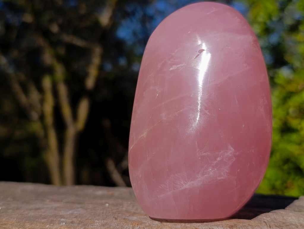 Polished Gemmy Rose Quartz Display Piece x 1 From Ambatondrazaka, Madagascar