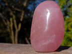 Polished Gemmy Rose Quartz Display Piece x 1 From Ambatondrazaka, Madagascar