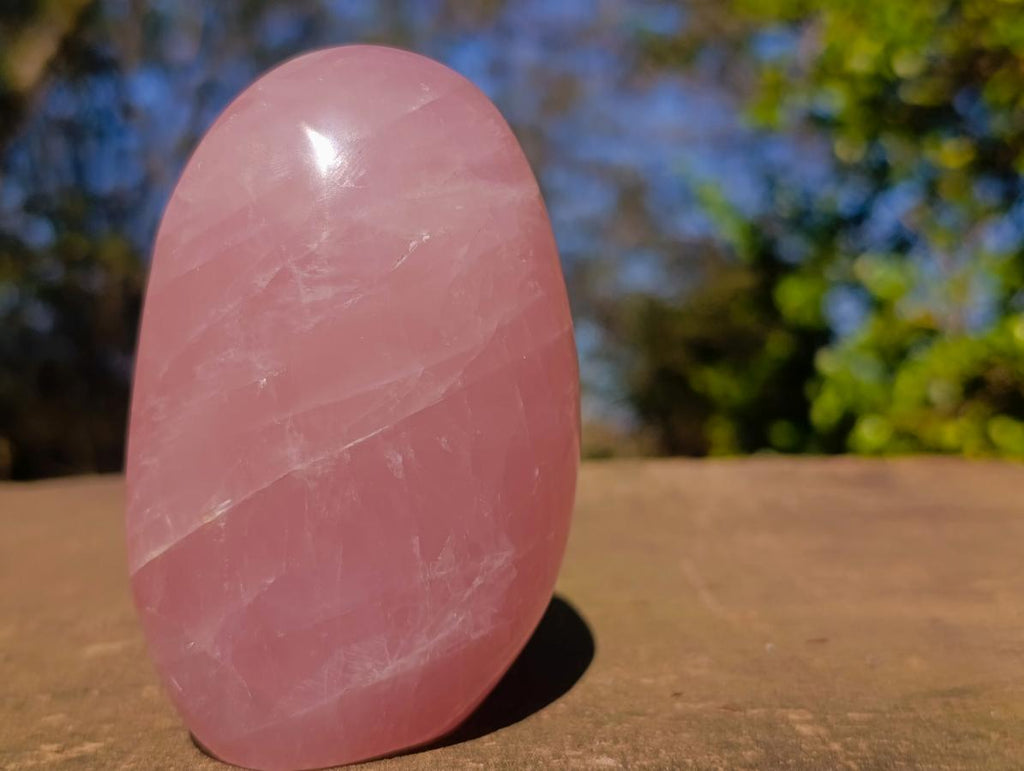 Polished Gemmy Rose Quartz Display Piece x 1 From Ambatondrazaka, Madagascar