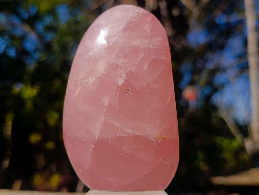 Polished Gemmy Rose Quartz Display Piece x 1 From Ambatondrazaka, Madagascar