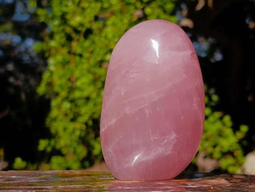 Polished Gemmy Rose Quartz Display Piece x 1 From Ambatondrazaka, Madagascar