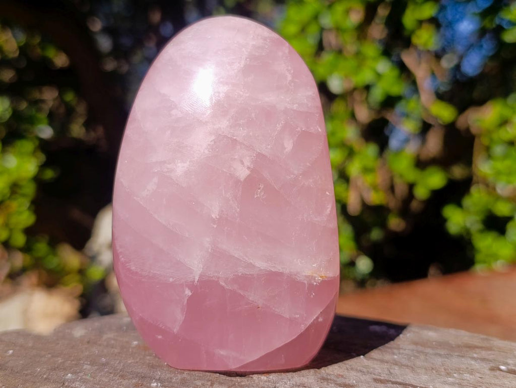Polished Gemmy Rose Quartz Display Piece x 1 From Ambatondrazaka, Madagascar