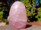 Polished Gemmy Rose Quartz Display Piece x 1 From Ambatondrazaka, Madagascar