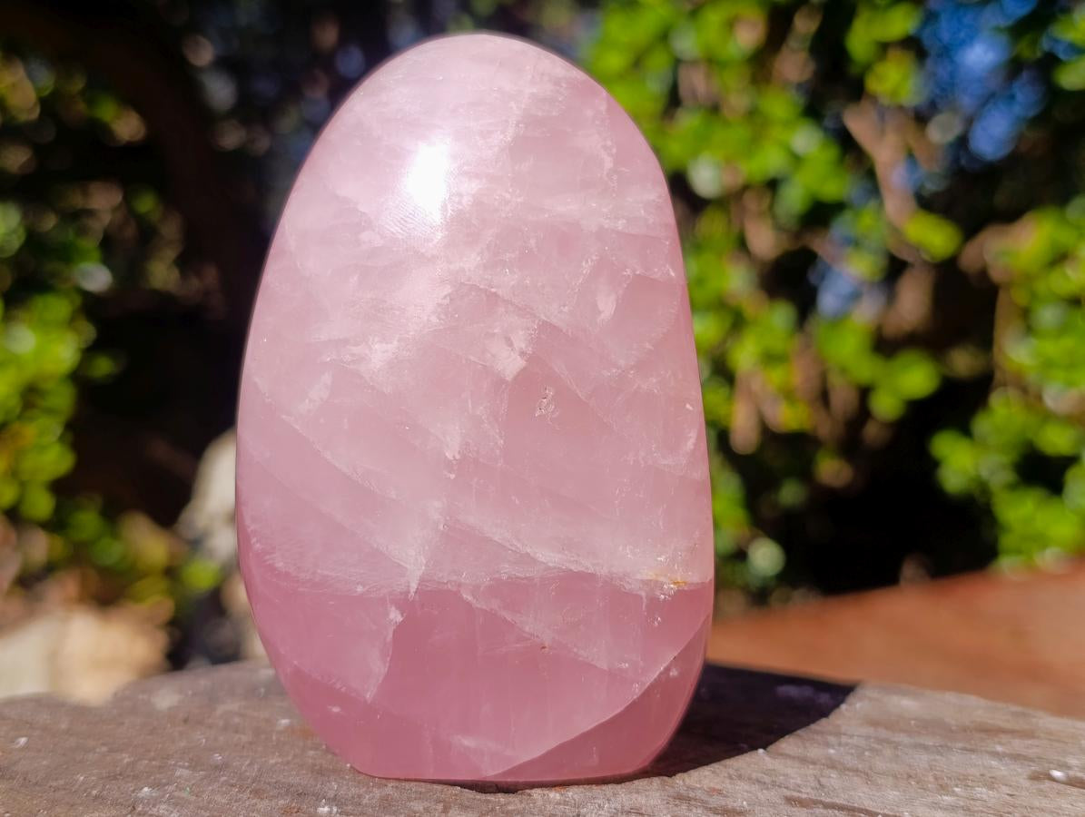 Polished Gemmy Rose Quartz Display Piece x 1 From Ambatondrazaka, Madagascar