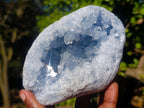 Natural Icy Blue Celestite Geode Specimen x 1 From Sakoany Madagascar