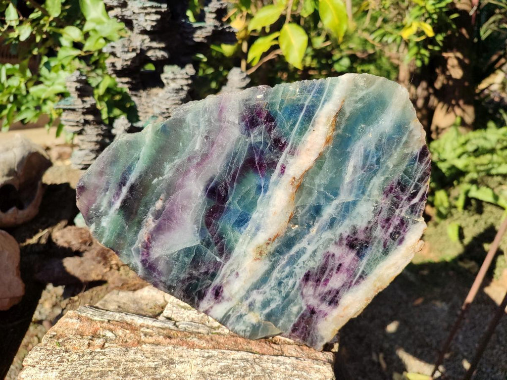 Polished Large Translucent Watermelon Fluorite Slice x 1 From Uis, Namibia