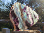 Polished Large Translucent Watermelon Fluorite Slice x 1 From Uis, Namibia