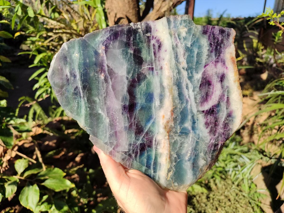 Polished Large Translucent Watermelon Fluorite Slice x 1 From Uis, Namibia