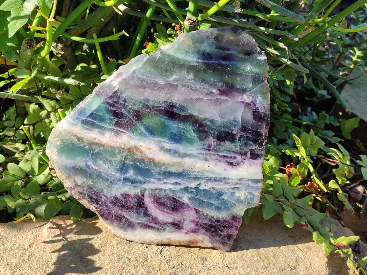 Polished Large Translucent Watermelon Fluorite Slice x 1 From Uis, Namibia